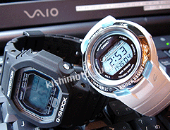 2005o[YRNVBLCȃyAEHb`ł